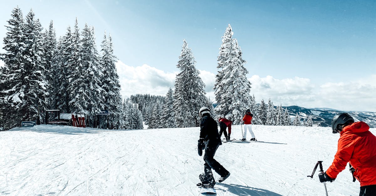 A group of snowboarders and skiers enjoying a sunny winter day on a snowy slope surrounded by trees.